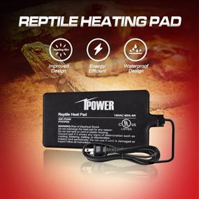 img 3 attached to 🐢 Ideal Heat Solution: iPower Reptile Heat Pad Tank Warmer for Turtle, Lizard, Frog, Snake, and Small Animals - 4X7 Inch, 4W Heating Mat