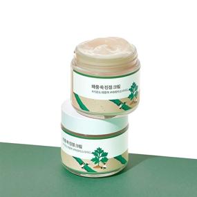 img 1 attached to 🌿 Round Lab Mugwort Calming Cream: Soothe, Moisturize & Calm Skin with Madecassoside - 80ml