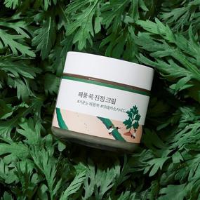 img 2 attached to 🌿 Round Lab Mugwort Calming Cream: Soothe, Moisturize & Calm Skin with Madecassoside - 80ml