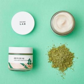 img 3 attached to 🌿 Round Lab Mugwort Calming Cream: Soothe, Moisturize & Calm Skin with Madecassoside - 80ml