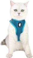 heywean cat harness and leash - ultra light escape proof kitten collar: ideal walking jacket for puppies, rabbits & cats logo