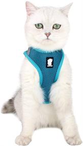 img 4 attached to Heywean Cat Harness and Leash - Ultra Light Escape Proof Kitten Collar: Ideal Walking Jacket for Puppies, Rabbits & Cats