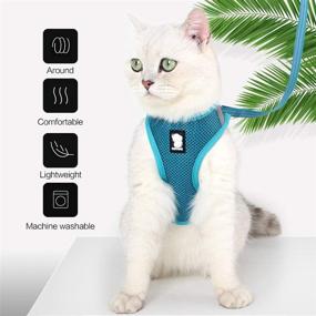 img 3 attached to Heywean Cat Harness and Leash - Ultra Light Escape Proof Kitten Collar: Ideal Walking Jacket for Puppies, Rabbits & Cats