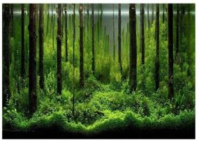 img 4 attached to 🌳 Optimized Forest Tank Aquarium Poster - PVC Adhesive Fish Tank Background Picture, Underwater Forest Tank Background Backdrop Decoration Paper