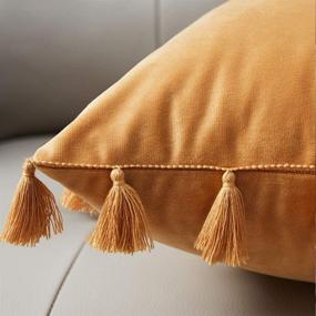 img 2 attached to 🛋️ Pack of 2 Velvet Decorative Throw Pillow Covers with Tassels Fringe – Boho Accent Cushion Case for Couch Sofa Bed, 18 x 18 Inch, Gold