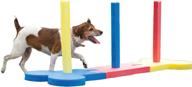 🐶 enhancing your small dog's agility skills with rosewood small dog agility equipment logo