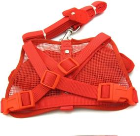 img 2 attached to 🐾 Alfie Pet - Angel Wing Harness with Leash: Stylish and Secure Walking Companion