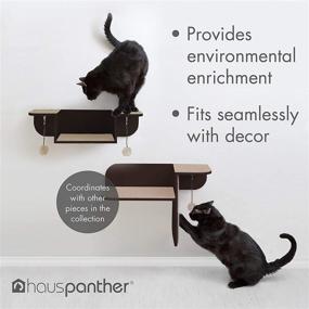 img 1 attached to 🐱 Enhance Your Cat's Comfort with the Primetime Petz Hauspanther Nest Perch - Wall-Mounted Cat Perch & Bed