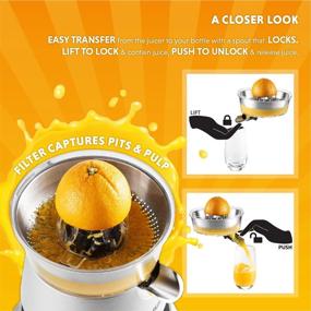 img 2 attached to Eurolux Electric Citrus Juicer Squeezer | Powerful 160W Stainless Steel | Soft Grip Handle & Cone Lid | Easy Use for Orange, Lemon, Grapefruit (ELCJ-1700S)