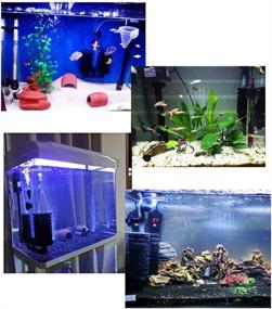 img 1 attached to GMsound Bio Sponge Filter for 20 or 40 Gallon Breeding Fry Betta Shrimp Fish Tank Aquariums