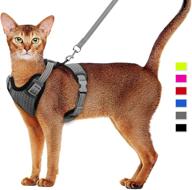 🐱 escape proof cat harness and leash set - adjustable walking harness for cats with soft breathable mesh & reflective strip logo