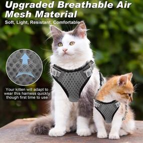 img 2 attached to 🐱 Escape Proof Cat Harness and Leash Set - Adjustable Walking Harness for Cats with Soft Breathable Mesh & Reflective Strip