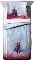 jay franco disney frozen comforter logo