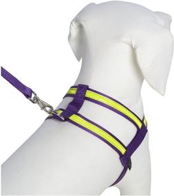 img 2 attached to Co Leash Purple Night Lite Harness