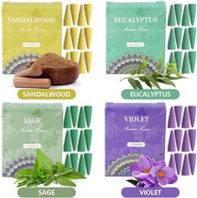 img 1 attached to 🎁 SCENTORINI Incense Cones Gift Set with Holder - Assorted Scented Incense Variety Pack, 120 Cones (Rose, Sage, Lavender, Violet, Cinnamon, Eucalyptus, Sandalwood, Rain Forest)