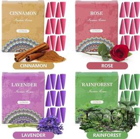 img 2 attached to 🎁 SCENTORINI Incense Cones Gift Set with Holder - Assorted Scented Incense Variety Pack, 120 Cones (Rose, Sage, Lavender, Violet, Cinnamon, Eucalyptus, Sandalwood, Rain Forest)