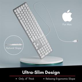 img 1 attached to 👩 Macally Wired Mac Keyboard with Number Keypad - 2 USB Ports Hub Included - Compatible Apple Keyboard Wired for Mac, MacBook Pro, MacBook Air Laptops - Silver Aluminum Finish - MLUXKEYA
