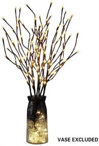 img 2 attached to 🌳 Vanthylit Bundle of 2 Sets - 3PK 30-inch Brown Lighted Twig Stakes with 120 Warm White Pathway Lights for Outdoor and Indoor Use (Vase Not Included)