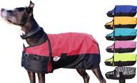 🐶 seo-optimized derby originals canine coat логотип