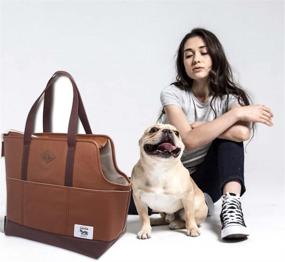 img 3 attached to 🐾 TAILFOUR Portable Travel Pet Carrier: Soft & Comfortable Sided Tote for Small Animals, Luxury PU Leather Bag for Shopping, Hiking & Walking with Doggy