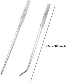 img 3 attached to FRUTA Long Reptiles Feeding Tongs Stainless Steel Straight and Curved Tweezers Set - Premium Tools for Reptiles, Lizards, Bearded Dragons, Geckos, Snakes, Birds, and Aquatic Plants