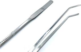 img 2 attached to FRUTA Long Reptiles Feeding Tongs Stainless Steel Straight and Curved Tweezers Set - Premium Tools for Reptiles, Lizards, Bearded Dragons, Geckos, Snakes, Birds, and Aquatic Plants