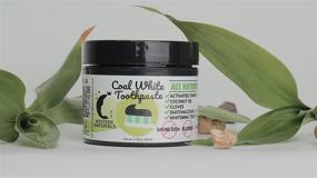 img 1 attached to Mysteek Naturals Coal White Toothpaste: All-Natural Charcoal Teeth Whitening Oral Care Solution - 2 oz Fluoride Free!