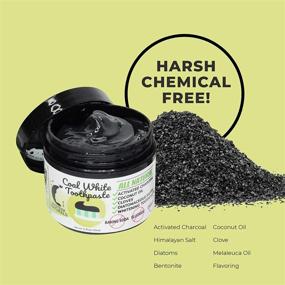 img 2 attached to Mysteek Naturals Coal White Toothpaste: All-Natural Charcoal Teeth Whitening Oral Care Solution - 2 oz Fluoride Free!