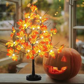 img 3 attached to 🌳 FUCHSUN Tabletop Maple Tree Lamp - 24 LED Bonsai Tree Light with Timer and 8 Lighting Modes - Perfect for Party, Wedding, Christmas, Thanksgiving, and Home Decoration