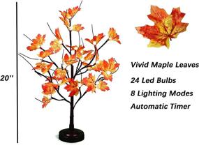 img 1 attached to 🌳 FUCHSUN Tabletop Maple Tree Lamp - 24 LED Bonsai Tree Light with Timer and 8 Lighting Modes - Perfect for Party, Wedding, Christmas, Thanksgiving, and Home Decoration