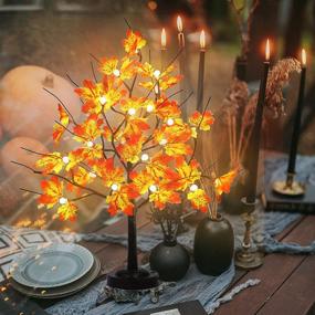 img 2 attached to 🌳 FUCHSUN Tabletop Maple Tree Lamp - 24 LED Bonsai Tree Light with Timer and 8 Lighting Modes - Perfect for Party, Wedding, Christmas, Thanksgiving, and Home Decoration