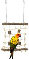 hicobos climbing hanging chewing parrots logo