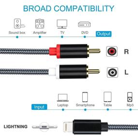 img 3 attached to 🎵 6FT Lightning to RCA Cable Audio Aux Adapter & Stereo Y Splitter for iPhone, iPad, iPod | Ideal for Power Amplifier, Car, Home Theater, Speaker & More | Silver