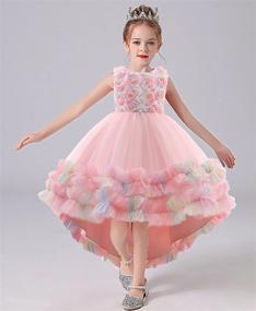 img 3 attached to 👗 Stylish Embroidered High Low Dresses and Clothing for Shiny Toddlers