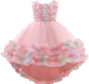 img 4 attached to 👗 Stylish Embroidered High Low Dresses and Clothing for Shiny Toddlers