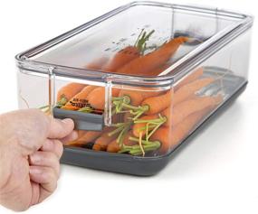 img 1 attached to Maximize Freshness with PrepWorks Long Produce Keeper: Preserve Your Produce for Longer