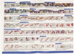 img 1 attached to 🎵 Egoshop Singing Birds Ribbon Embroidery Kit - DIY Wall Decor with English Instruction