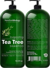 img 3 attached to Deep Cleansing Tea Tree Shampoo and Conditioner Set for Dandruff Relief and Hair Growth - New York Biology, 16.9 fl Oz