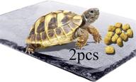 reptile basking platform tortoise bathing логотип