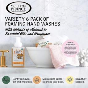 img 3 attached to 🧼 South of France Natural Body Care Foaming Hand Soap Variety Pack - Hydrating Agave Nectar Wash, 8 oz Pump Bottle - 6 Pack