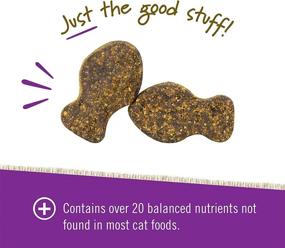 img 1 attached to 🐱 Pet Naturals Daily Multi for Cats - Taurine, Arginine & Biotin-Infused Multivitamin Chews, 30 Fish Flavored Treats, 1.32 Ounce (Pack of 1)