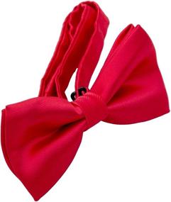 img 3 attached to 👔 Colorful Silk Bow Ties for Boys - Stylish Accessories for Kids