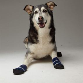 img 2 attached to Healers Medical Dog Boots and Gauze Bandages: Complete Box Set with 2 Boots and 2 Gauze Pads in Blue