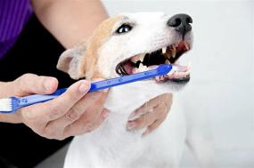 img 1 attached to 🐶 Optimized Dog Toothbrush Kit