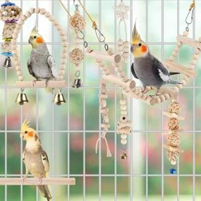 img 3 attached to 🐦 Bird Parrot Swing Toys- Chewing Standing Hanging Perch Hammock Climbing Ladder for Budgerigar, Parakeet, Conure, Cockatiel, Mynah, Love Birds, Finches & Other Small/Medium Birds, Ideal Cage Toy