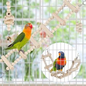 img 1 attached to 🐦 Bird Parrot Swing Toys- Chewing Standing Hanging Perch Hammock Climbing Ladder for Budgerigar, Parakeet, Conure, Cockatiel, Mynah, Love Birds, Finches & Other Small/Medium Birds, Ideal Cage Toy