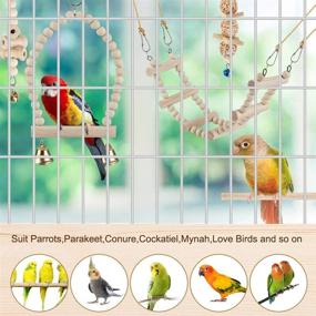 img 2 attached to 🐦 Bird Parrot Swing Toys- Chewing Standing Hanging Perch Hammock Climbing Ladder for Budgerigar, Parakeet, Conure, Cockatiel, Mynah, Love Birds, Finches & Other Small/Medium Birds, Ideal Cage Toy