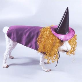 img 1 attached to Hotumn Halloween Wizard Costume Cloak