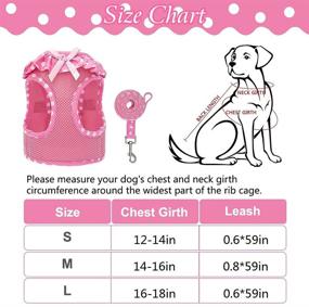 img 3 attached to 🐾 Adjustable Small Dog and Cat Harness Set - Comfortable Mesh Vest with No Pull Design, Adorned with Cute Polka Dot Pattern and Bowknot