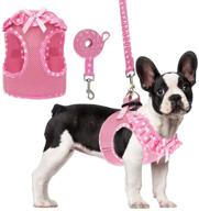 🐾 adjustable small dog and cat harness set - comfortable mesh vest with no pull design, adorned with cute polka dot pattern and bowknot logo